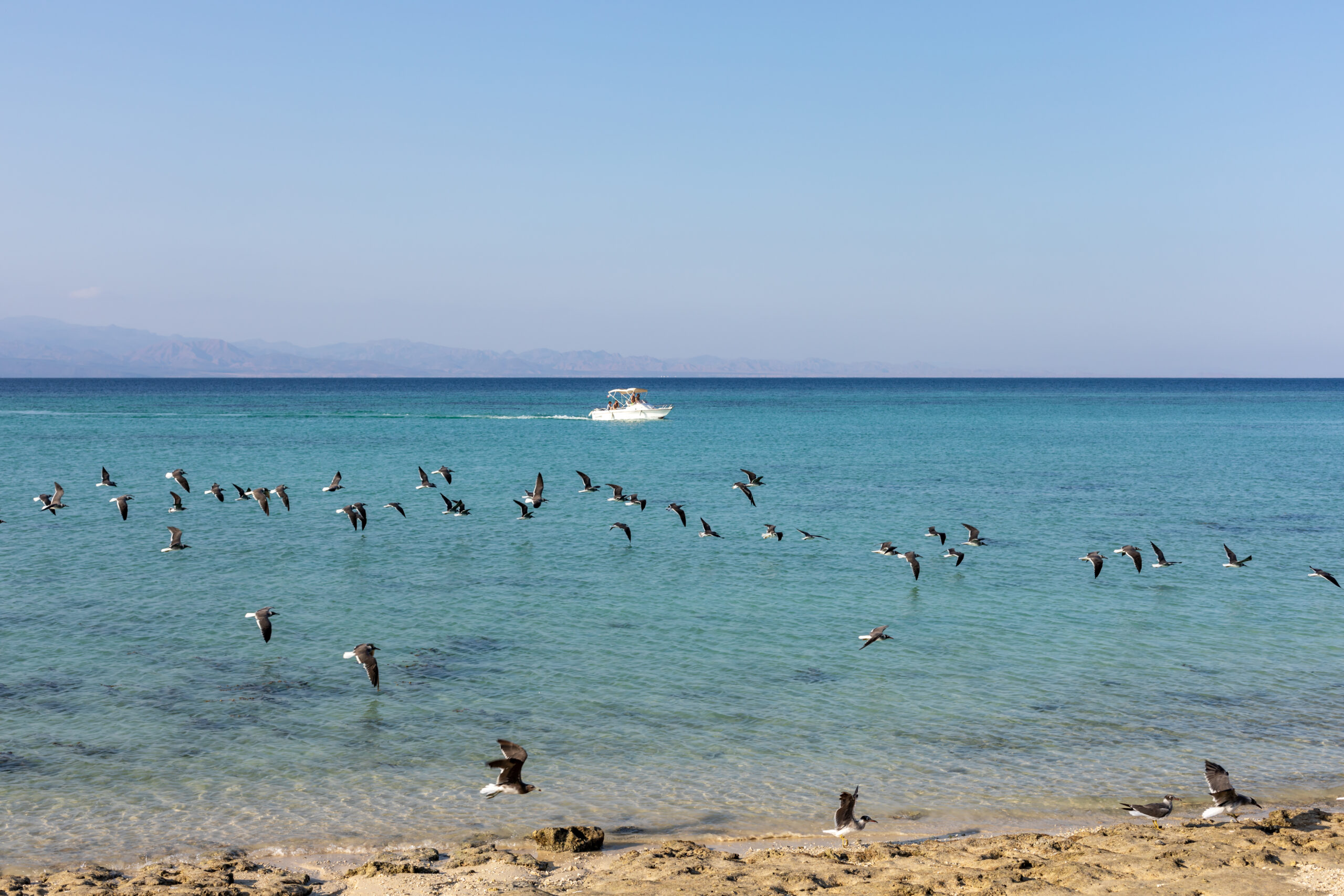 The Blue Lagoon by Camille Massida Photography